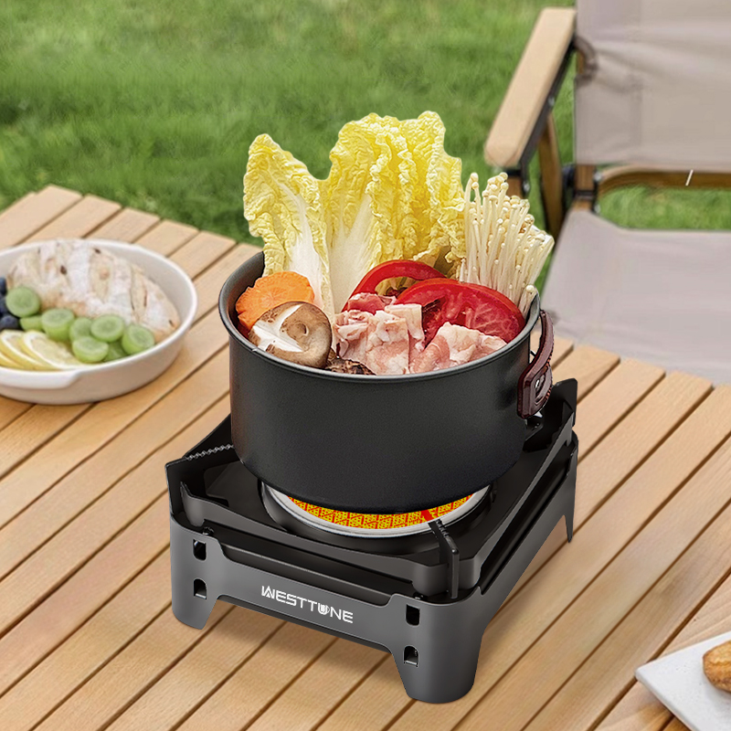 WESTTUNE Camping Cooking Burne - Home Cooking Gas Stove recensie en prijs