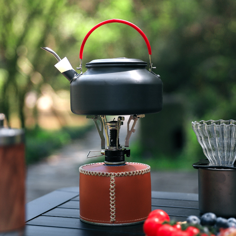 Portable Camping Stove with Pi - Home Cooking Gas Stove recensie en prijs