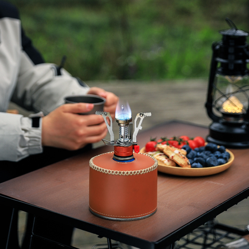 Portable Camping Stove with Pi - Home Cooking Gas Stove recensie en prijs